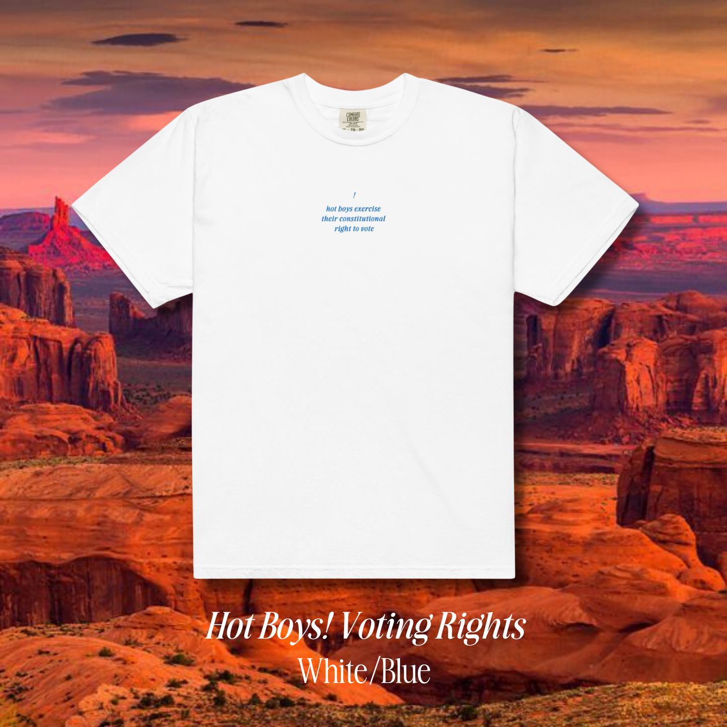 Hot Boys! Voting Rights Heavyweight Tee